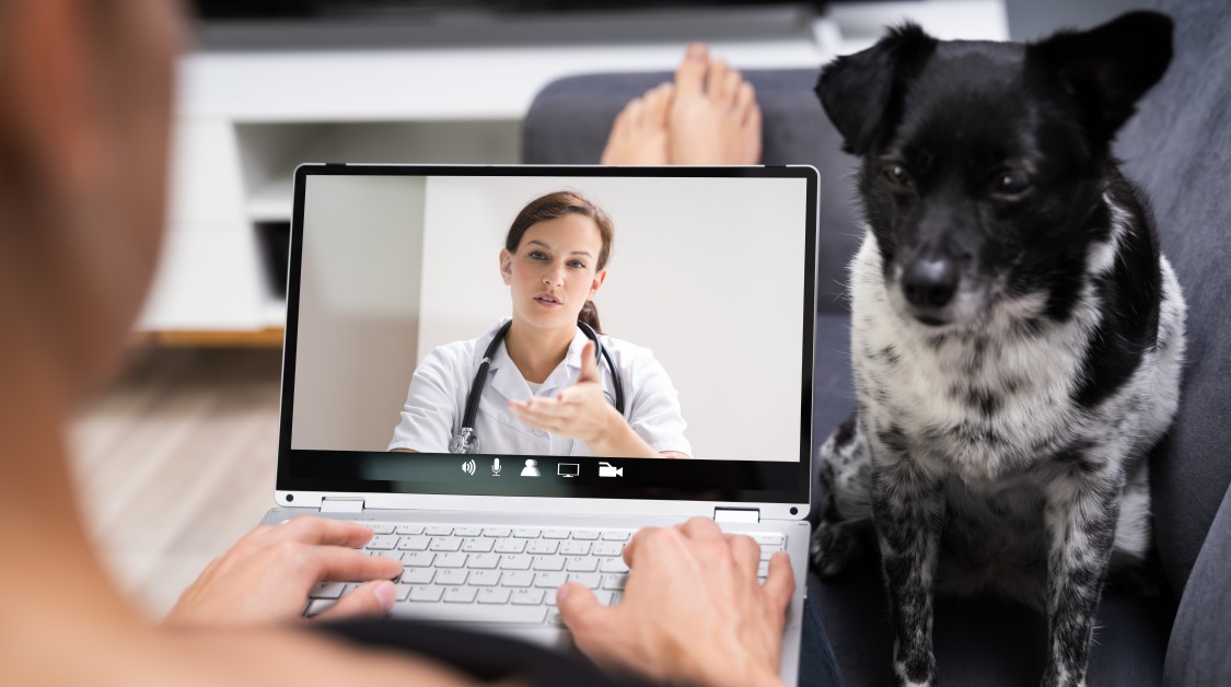 When to Choose Telemedicine for Your Pet